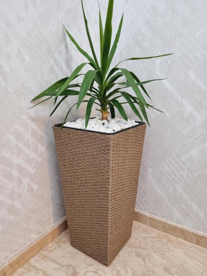 Dedoplis Tskaro Hotel Autograph מראה חיצוני תמונה